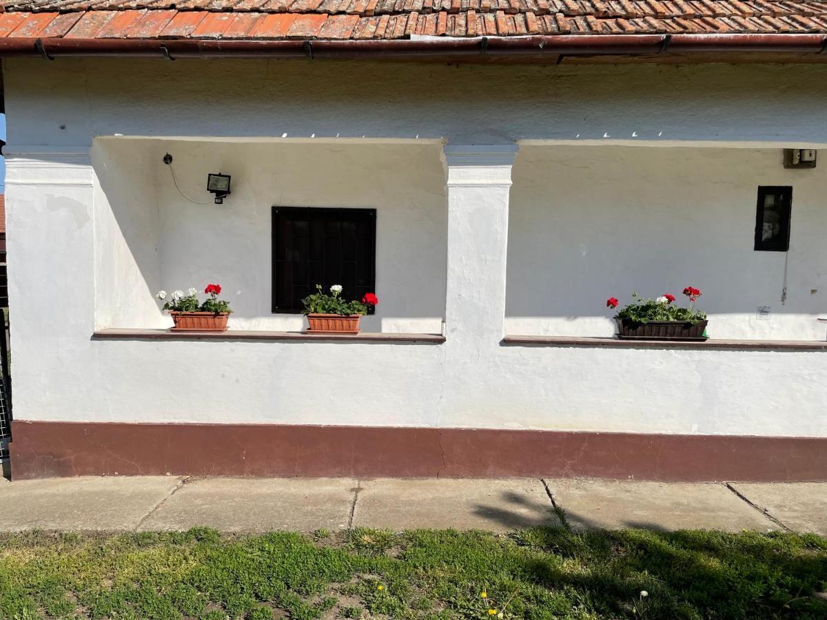 Zsuzsa Apartman Apartment Poroszlo Luaran gambar